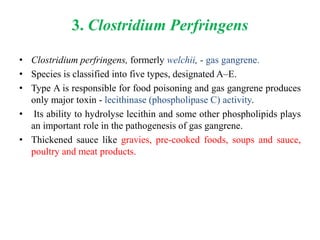 3. Clostridium Perfringens
• Clostridium perfringens, formerly welchii, - gas gangrene.
• Species is classified into five types, designated A–E.
• Type A is responsible for food poisoning and gas gangrene produces
only major toxin - lecithinase (phospholipase C) activity.
• Its ability to hydrolyse lecithin and some other phospholipids plays
an important role in the pathogenesis of gas gangrene.
• Thickened sauce like gravies, pre-cooked foods, soups and sauce,
poultry and meat products.
 
