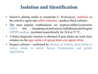 Isolation and Identification
• Selective plating media to enumerate C. Perfringens; antibiotic as
the selective agent and sulfite reduction - produce black colonies.
• The most popular combinations are tryptose/sulfite/cycloserine
(TSC) and oleandomycin/polymyxin/sulfadiazine/perfringens
(OPSP) medium, incubated anaerobically for 24 h at 37 ℃.
• A better diagnostic reaction is obtained if pour plates are used since
colonies on the agar surface of spread plates can appear white.
• Suspect colonies - confirmed by absence of motility, their ability to
reduce nitrate to nitrite, lactose fermentation, and gelatin
liquefaction.
 