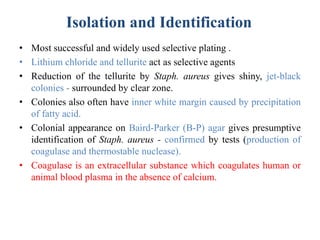 Isolation and Identification
• Most successful and widely used selective plating .
• Lithium chloride and tellurite act as selective agents
• Reduction of the tellurite by Staph. aureus gives shiny, jet-black
colonies - surrounded by clear zone.
• Colonies also often have inner white margin caused by precipitation
of fatty acid.
• Colonial appearance on Baird-Parker (B-P) agar gives presumptive
identification of Staph. aureus - confirmed by tests (production of
coagulase and thermostable nuclease).
• Coagulase is an extracellular substance which coagulates human or
animal blood plasma in the absence of calcium.
 