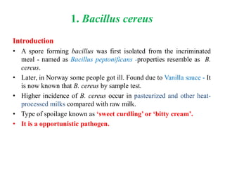 1. Bacillus cereus
Introduction
• A spore forming bacillus was first isolated from the incriminated
meal - named as Bacillus peptonificans -properties resemble as B.
cereus.
• Later, in Norway some people got ill. Found due to Vanilla sauce - It
is now known that B. cereus by sample test.
• Higher incidence of B. cereus occur in pasteurized and other heat-
processed milks compared with raw milk.
• Type of spoilage known as ‘sweet curdling’ or ‘bitty cream’.
• It is a opportunistic pathogen.
 