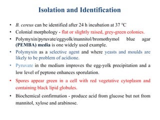 Isolation and Identification
• B. cereus can be identified after 24 h incubation at 37 ℃
• Colonial morphology - flat or slightly raised, grey-green colonies.
• Polymyxin/pyruvate/eggyolk/mannitol/bromothymol blue agar
(PEMBA) media is one widely used example.
• Polymyxin as a selective agent and where yeasts and moulds are
likely to be problem of acidione.
• Pyruvate in the medium improves the egg-yolk precipitation and a
low level of peptone enhances sporulation.
• Spores appear green in a cell with red vegetative cytoplasm and
containing black lipid globules.
• Biochemical confirmation - produce acid from glucose but not from
mannitol, xylose and arabinose.
 