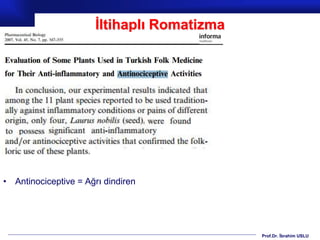 Prof.Dr. İbrahim USLU
İltihaplı Romatizma
• Antinociceptive = Ağrı dindiren
 