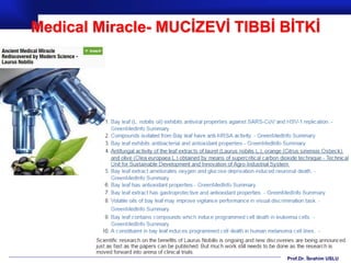 Prof.Dr. İbrahim USLU
Medical Miracle- MUCİZEVİ TIBBİ BİTKİ
 