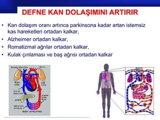 Prof.Dr. İbrahim USLU
DEFNE KAN DOLAŞIMINI ARTIRIR
• Kan dolaşım oranı artınca parkinsona kadar artan istemsiz
kas hareketleri ortadan kalkar,
• Alzheimer ortadan kalkar,
• Romatizmal ağrılar ortadan kalkar,
• Kulak çınlaması ve baş ağrısı ortadan kalkar
 