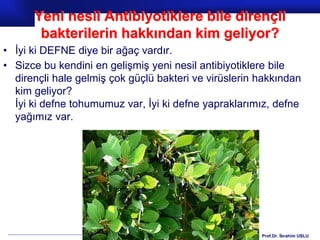 Prof.Dr. İbrahim USLU
Yeni nesil Antibiyotiklere bile dirençli
bakterilerin hakkından kim geliyor?
• İyi ki DEFNE diye bir ağaç vardır.
• Sizce bu kendini en gelişmiş yeni nesil antibiyotiklere bile
dirençli hale gelmiş çok güçlü bakteri ve virüslerin hakkından
kim geliyor?
İyi ki defne tohumumuz var, İyi ki defne yapraklarımız, defne
yağımız var.
 