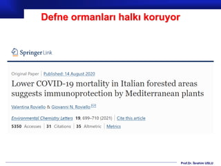 Prof.Dr. İbrahim USLU
Defne ormanları halkı koruyor
 