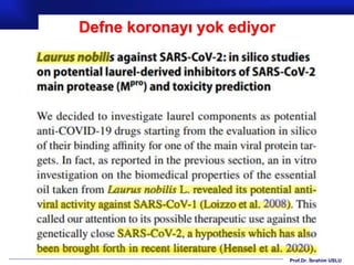 Prof.Dr. İbrahim USLU
Defne koronayı yok ediyor
 