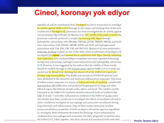 Prof.Dr. İbrahim USLU
Cineol, koronayı yok ediyor
 