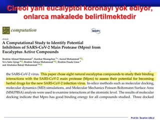Prof.Dr. İbrahim USLU
Cineol yani eucalyptol koronayı yok ediyor,
onlarca makalede belirtilmektedir
 