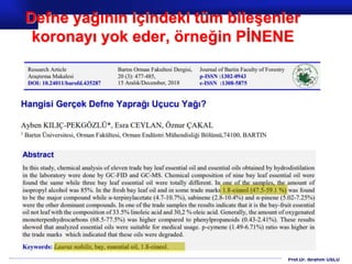 Prof.Dr. İbrahim USLU
Defne yağının içindeki tüm bileşenler
koronayı yok eder, örneğin PİNENE
 
