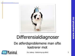www.manimal.no
 Differensialdiagnoser
De atferdsproblemene man ofte
         kastrerer mot
       Gry Løberg - Kastrering og atferd   3
 
