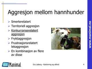 Aggresjon mellom hannhunder
 Smerterelatert




                                                         www.manimal.no
 Territoriell aggresjon
 Konkurranserelatert
  aggresjon
 Fryktaggresjon
 Frustrasjonsrelatert
  lekaggresjon
 En kombinasjon av flere
  av disse


                 Gry Løberg - Kastrering og atferd   4
 
