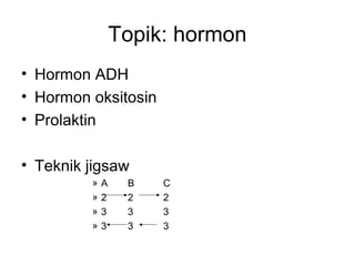 Topik: hormon
• Hormon ADH
• Hormon oksitosin
• Prolaktin
• Teknik jigsaw
» A B C
» 2 2 2
» 3 3 3
» 3 3 3
 