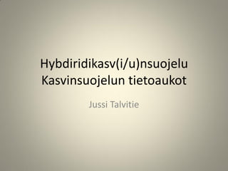 Hybdiridikasv(i/u)nsuojelu Kasvinsuojelun tietoaukot 
Jussi Talvitie  