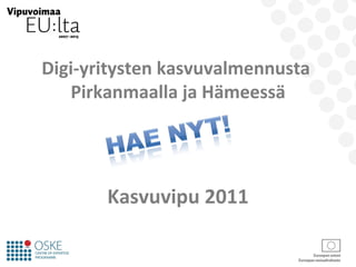 Digi-yritysten kasvuvalmennusta  Pirkanmaalla ja Hämeessä Kasvuvipu 2011 
