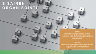 S I S Ä I N E N
O R G A N I S O I N T I
Yritys
Hierarkinen organisaatio, selkeä
vastuiden jako. Tehokas organisaatio ja
selkeät roolit
Startup
Monipuoliset ja sopeutumiskykyiset tiimit.
Organisaatio toimii ketterästi
 