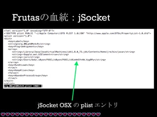 Frutasの血統：jSocket
jSocket OSX の plist エントリ
 