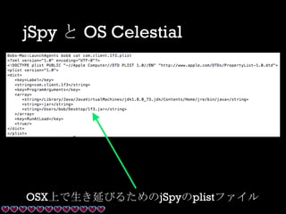 jSpy と OS Celestial
OSX上で生き延びるためのjSpyのplistファイル
 