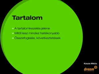 kaszas_miklos_eloadas_ih_2010