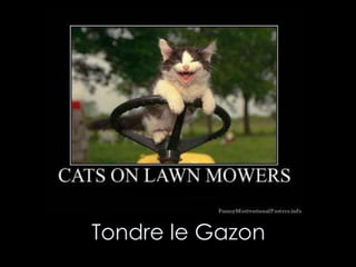 Tondre le Gazon 