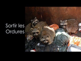 Sortir les Ordures 