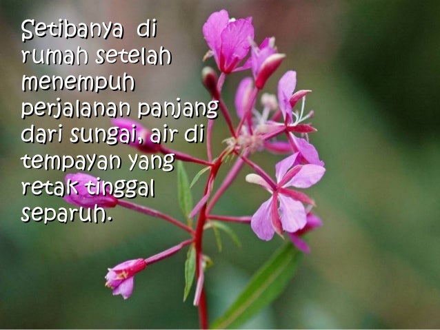 Kata Kata Mutiara Tentang Air Sungai - kata kata buat status
