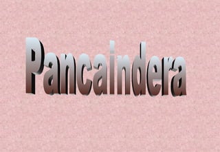 Pancaindera 