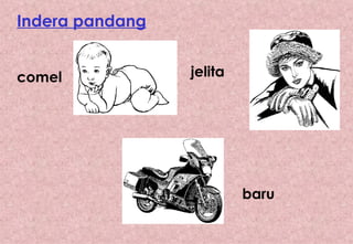 Indera pandang comel jelita baru 