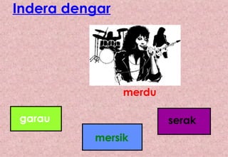 Indera dengar merdu garau mersik serak 