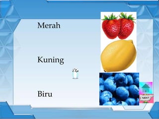 Merah



Kuning



Biru
 