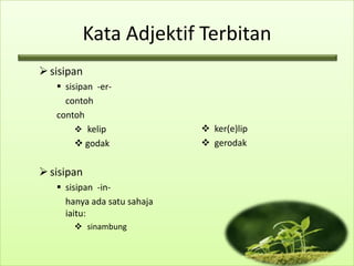 Kata Adjektif Terbitan
 sisipan
    sisipan -er-
     contoh
   contoh
         kelip               ker(e)lip
         godak               gerodak


 sisipan
    sisipan -in-
     hanya ada satu sahaja
     iaitu:
        sinambung
 