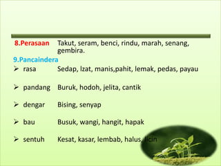 8.Perasaan   Takut, seram, benci, rindu, marah, senang,
             gembira.
9.Pancaindera
 rasa       Sedap, lzat, manis,pahit, lemak, pedas, payau

 pandang Buruk, hodoh, jelita, cantik

 dengar     Bising, senyap

 bau        Busuk, wangi, hangit, hapak

 sentuh     Kesat, kasar, lembab, halus, licin
 