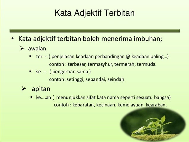 Kata Adjektif