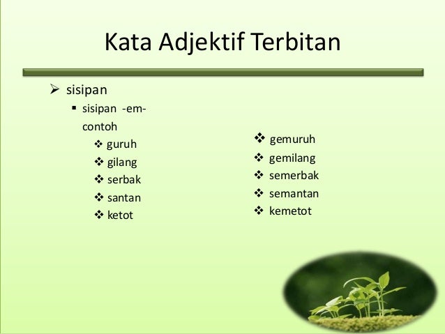 Kata Adjektif