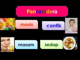 Pancaindera
manis
masam sedap
cantik
 