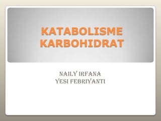 KATABOLISME
KARBOHIDRAT
Naily Irfana
Yesi Febriyanti
 