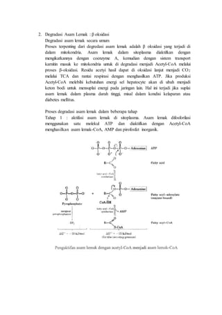 2. Degradasi Asam Lemak : β oksidasi
Degradasi asam lemak secara umum
Proses terpenting dari degredasi asam lemak adalah β oksidasi yang terjadi di
dalam mitokondria. Asam lemak dalam sitoplasma diaktifkan dengan
mengikatkannya dengan coenzyme A, kemudian dengan sistem transport
karnitin masuk ke mitokondria untuk di degradasi menjadi Acetyl-CoA melalui
proses β-oksidasi. Residu acetyi hasil dapat di oksidasi lanjut menjadi CO2
melalui TCA dan rantai respirasi dengan menghasilkan ATP. Jika produksi
Acetyl-CoA melebihi kebutuhan energi sel hepatocyte akan di ubah menjadi
keton bodi untuk mensuplai energi pada jaringan lain. Hal ini terjadi jika suplai
asam lemak dalam plasma darah tinggi, misal dalam kondisi kelaparan atau
diabetes mellitus.
Proses degradasi asam lemak dalam beberapa tahap
Tahap 1 : aktifasi asam lemak di sitoplasma. Asam lemak difosforilasi
menggunakan satu molekul ATP dan diaktifkan dengan Acetyl-CoA
menghasilkan asam lemak-CoA, AMP dan pirofosfat inorganik.
 