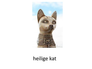 heilige kat