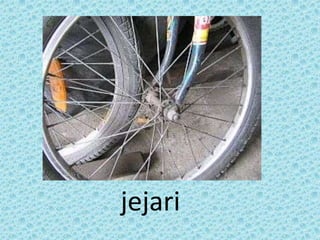 jejari
 