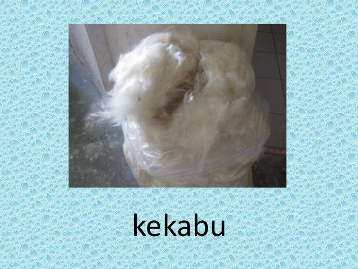 Kata ganda
