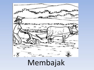 Membajak
 