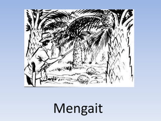 Mengait
 