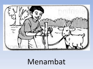 Menambat
 