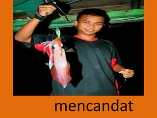 mencandat
 