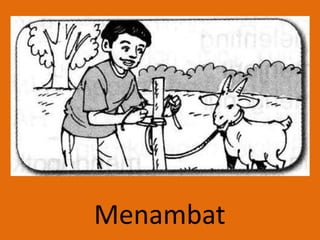 Menambat
 