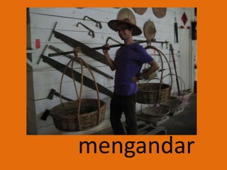 mengandar
 