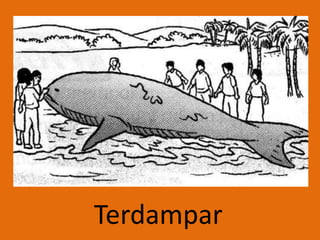 Terdampar
 