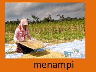 menampi
 