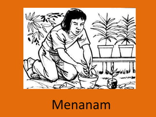 Menanam
 