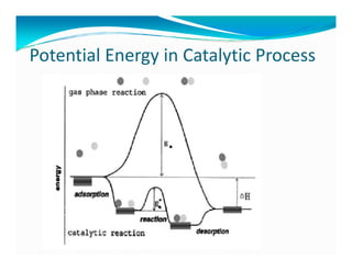 Potential Energy in Catalytic Process 
 